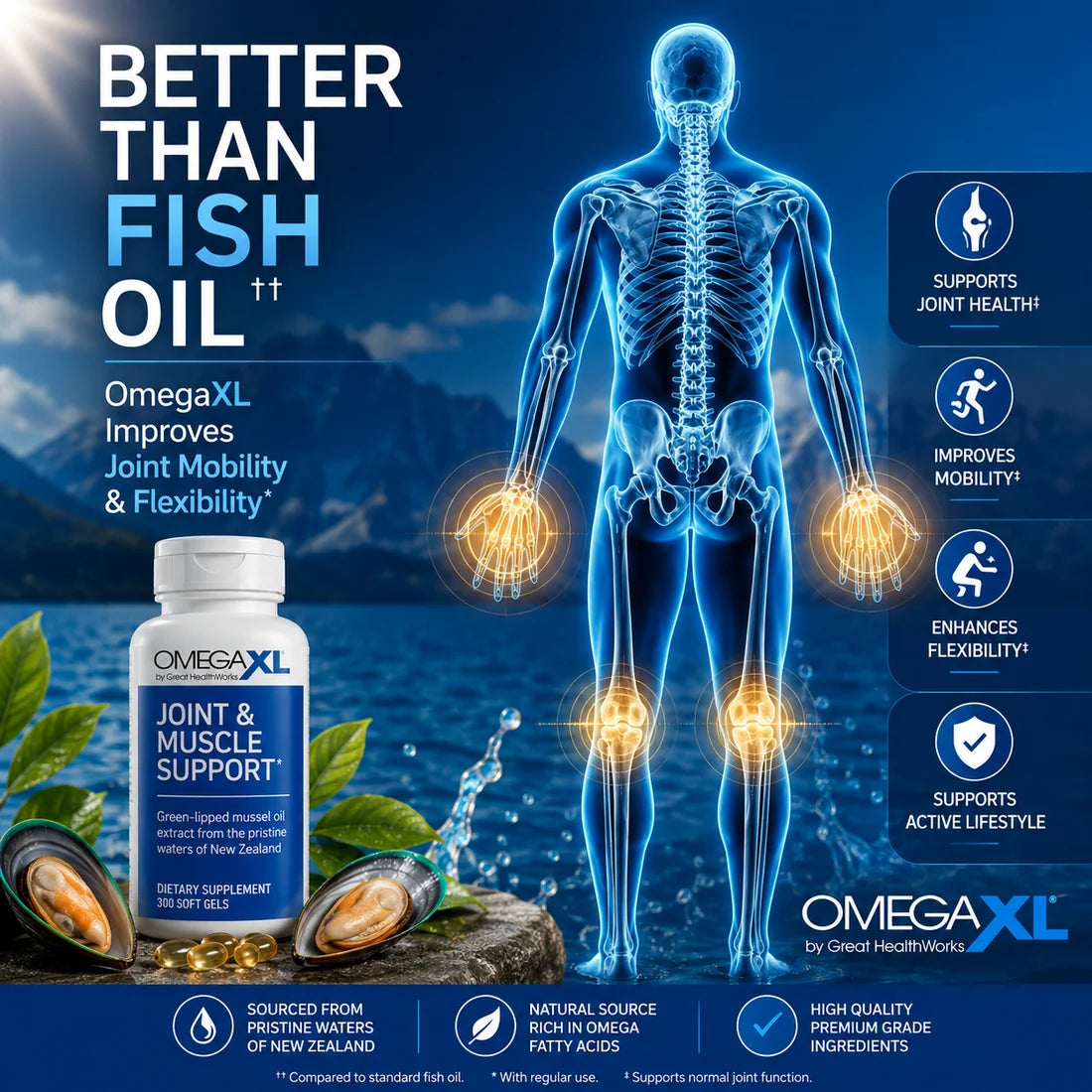 OmegaXL Joint & Muscle Support Supplement 300 Soft Gels – Omega Fatty Acid Formula | Luxeora Shop