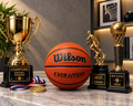 Wilson Evolution 29.5" Official Size Indoor Basketball – High Grip Composite Game Ball | Luxeora Shop